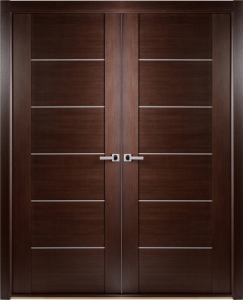 doors_2